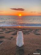 BARCARESA-Villa cosy en bord de mer, idéalement située