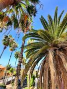 Top Puerto de la Cruz