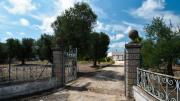 Top Ostuni