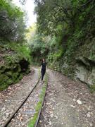 Top Vizitsa Top Vizitsa