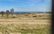 Top Skagen