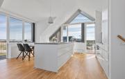 Top Skagen