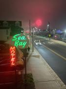 Top Wildwood