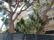 salou Playa & Port Aventura