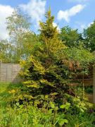 Top Southampton Top Southampton