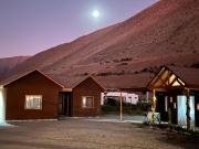 Top Vicuña Top Vicuña