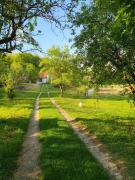 Bácshegyi Vendégház 1