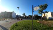 Top Bari