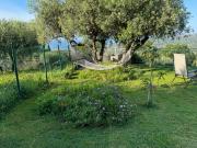 Top Imperia Top Imperia