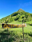 Top Gornji Milanovac