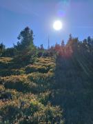 Štempel Karol , Bělá pod Pradědem, Domašov 412