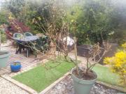 Location gîte Plestin les grèves