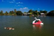 Top Don Tum Top Don Tum