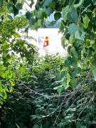 Top Leipzig Top Leipzig