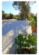 Top Caldas da Rainha