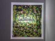 LA NICCHIA