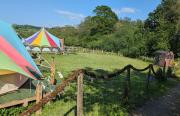 Top Narberth