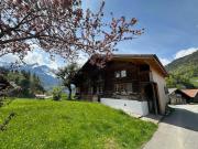 Top Meiringen Top Meiringen