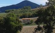 Top Querceto