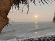 PRIVATE OCEAN FRONT, PET FRIENDLY OASIS!