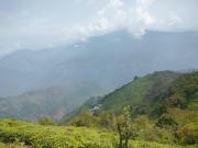 Top Darjeeling
