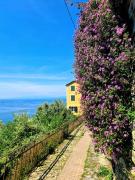 Top Pieve Ligure