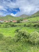 Top Arenas de Cabrales