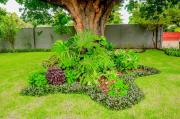 Top Lilongwe