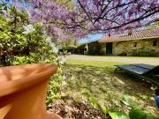 Top Arcos de Valdevez