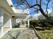 Top Porto Cesareo Top Porto Cesareo