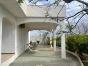 Top Porto Cesareo Top Porto Cesareo