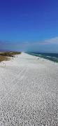 Top Navarre