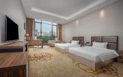 Top Zhongshan