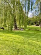 Top Condé-sur-Noireau