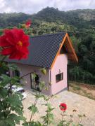 Top Gonçalves