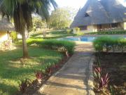 Top Diani Beach