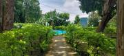 Top San Carlos