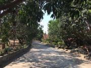 The poolhouse at McKirdys mango farm