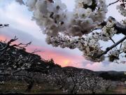 chambre dhôtes Et Puis Voilà!