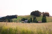 Top Utzenfeld
