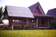 Top Chiang Rai