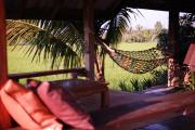 Top Chiang Rai