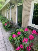 Rode Eekhoorn: genieten met de dieren in het bos!