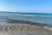 Top Torre Canne
