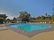 Gorgeous lodge with a view