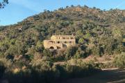 Top Boadella