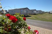 Top Arbroath