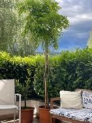 Top Castelletto sopra Ticino