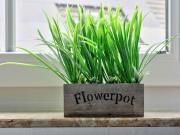 Top Schieder-Schwalenberg