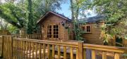 Beautiful 1-Bed Cabin in Newmarket